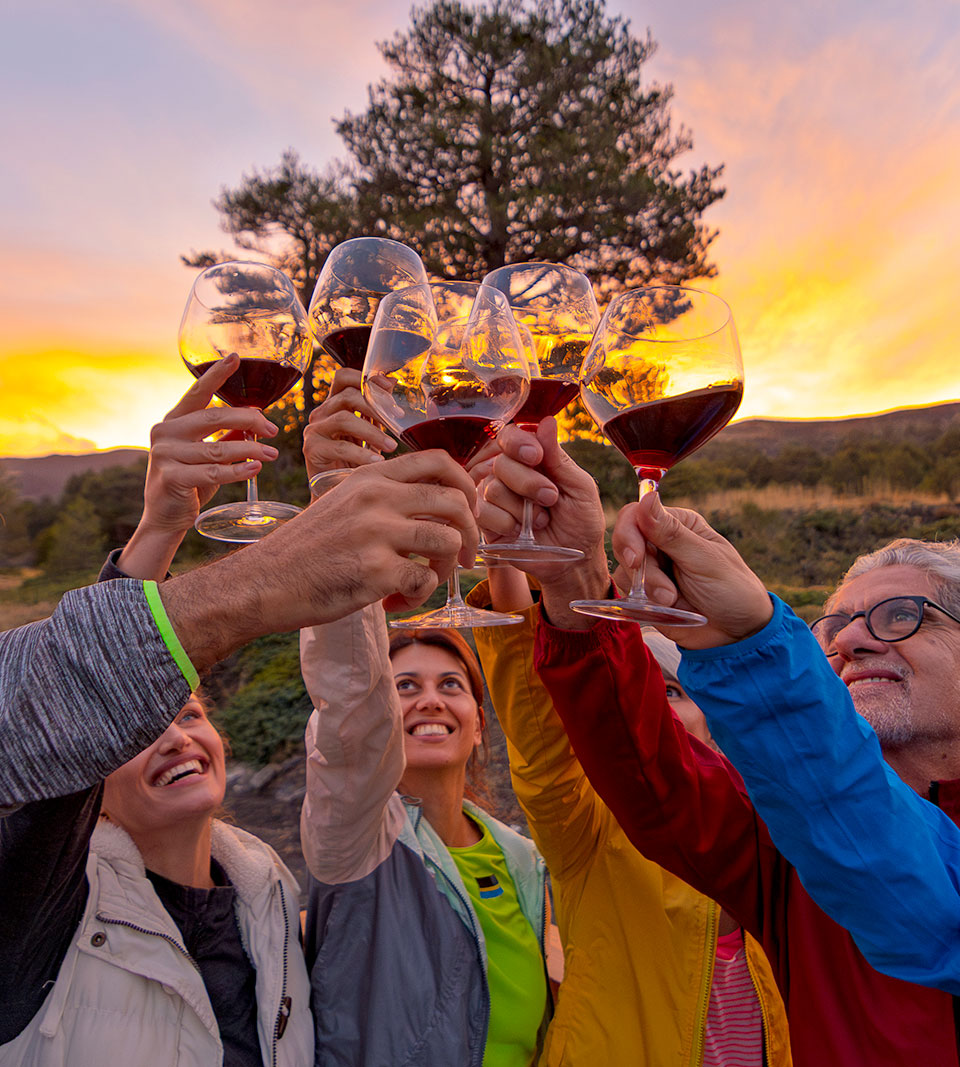 Amici che brindano con calici nella natura durante il tramonto