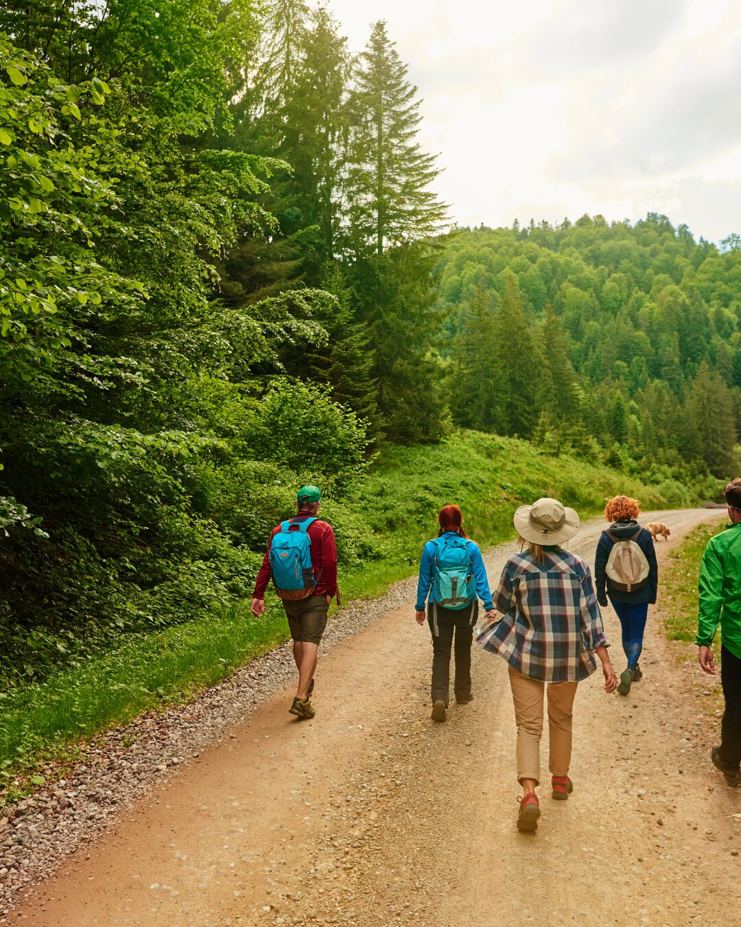 Gruppo di persone che fa trekking insieme, socializza e crea nuove amicizie nella natura