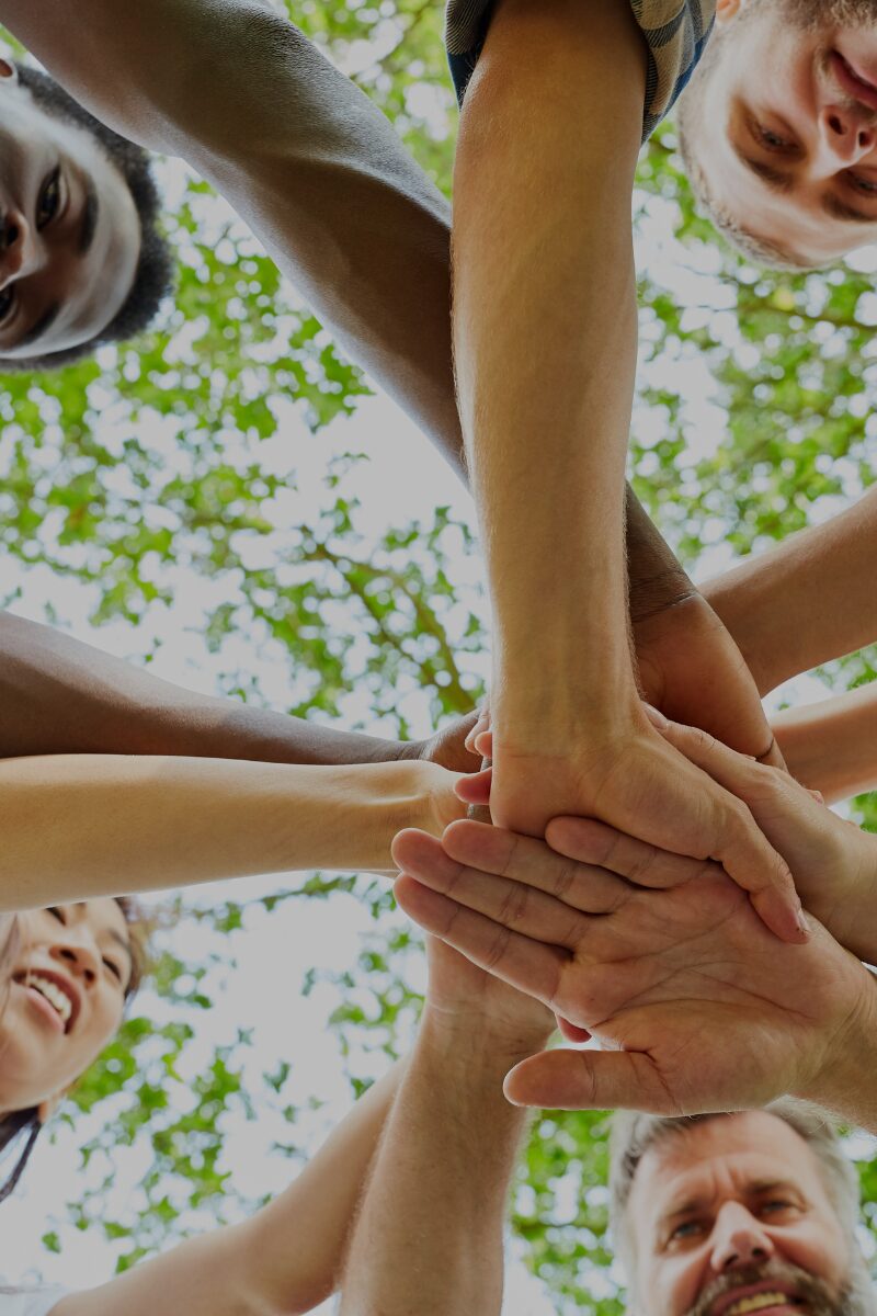 Community Viaggio musicale  – gruppo di amici al festiva